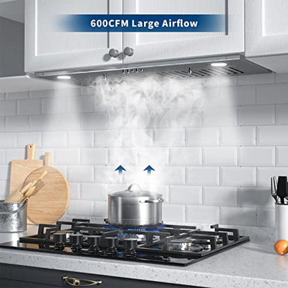 Range Hood Insert 30 inch, IsEasy Built-in Kitchen Hood With 600 CFM, Ducted/Ductless Convertible Range Hood Stainless Steel Vent Hood Insert, Charcoal Filters & Vent Hose included